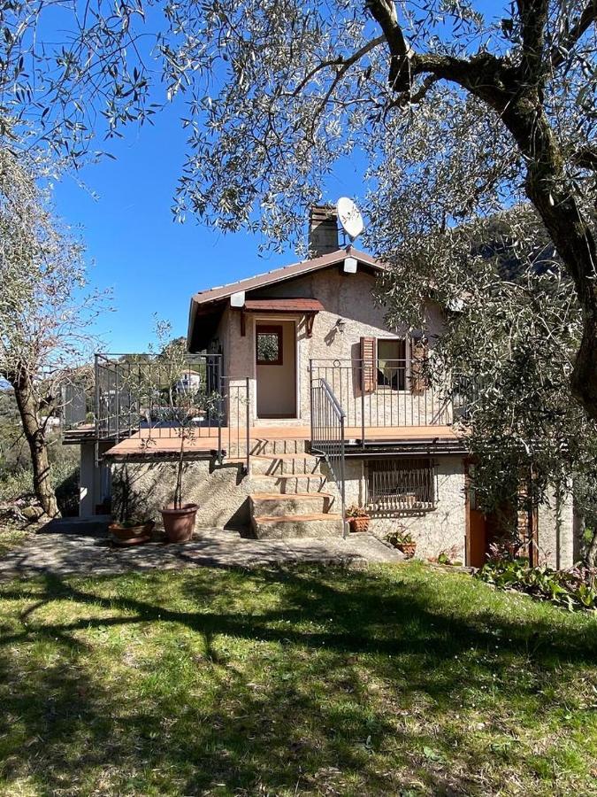Ferienwohnung Olive Grove House Malcesine Exterior foto