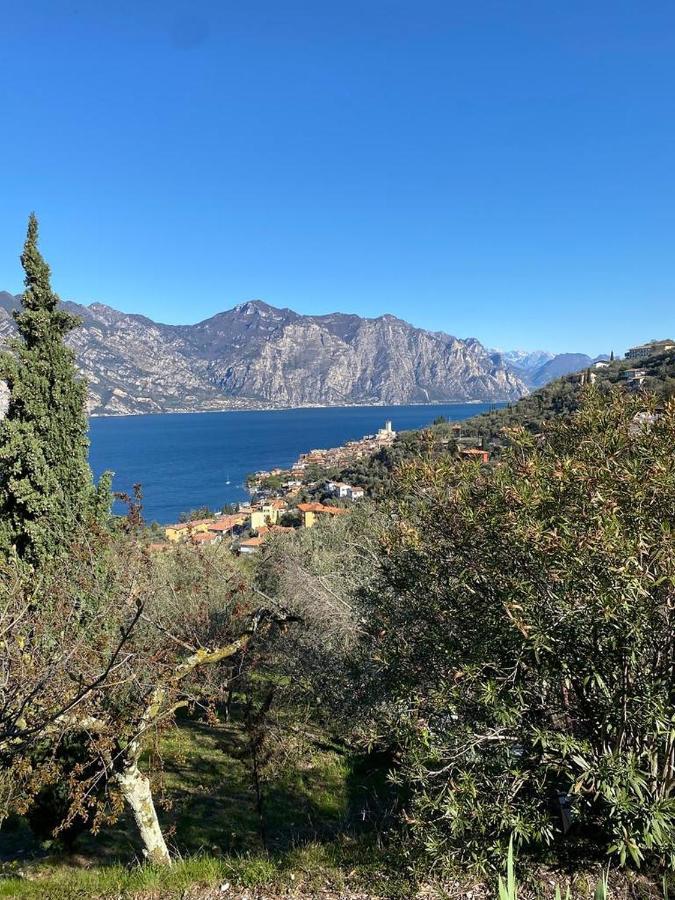 Ferienwohnung Olive Grove House Malcesine Exterior foto